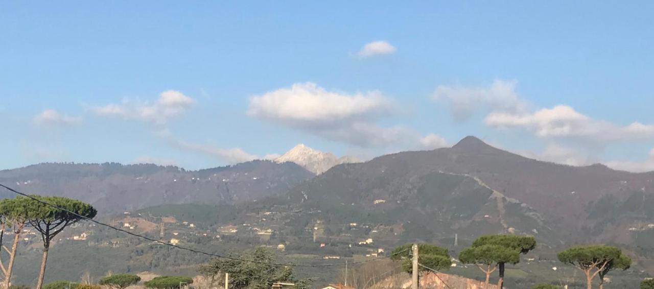 Domus Zoe Forte dei Marmi Exterior foto